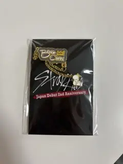 Stray Kids くじ チャーム付きピンズ バンチャン