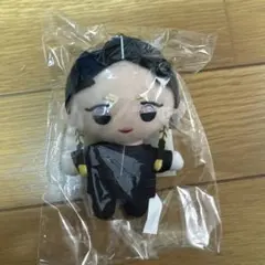 東京リベンジャーズ 灰谷蘭 ぬいぐるみ