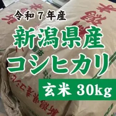 自然に感謝さま連絡用】新潟産 コシヒカリ 米 R7年産 玄米 30kg - メルカリ