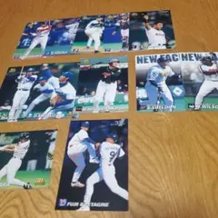 プロ野球チップス2002のサムネイル