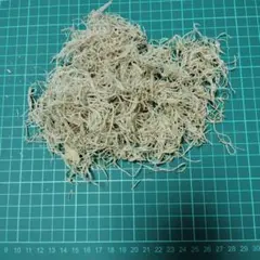 Item thumbnail for item db201374-5c37-492c-a3e5-d35c17f6af4b