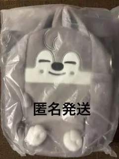 S*。様 StrayKids ペンミ BACKPACK ウルフチャン バンチャン - メルカリ