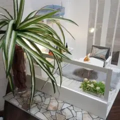 Item thumbnail for item fde8dddf-8fe3-4a8c-a3bb-d369a0fe58a8