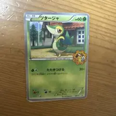 BW-P ツタージャ_ポケモンスマイルスクール PROMO 第5世代（BW）2…