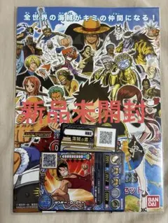 希少ワンピース データカードダス プロモーションカード付チラシ