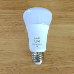 PHILIPS hue white ambiance 1100ルーメン