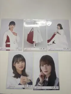 櫻坂46 封入写真まとめ売り
