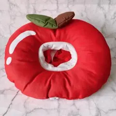 Item thumbnail for item 5a073bde-0dea-4535-b717-7b937a328a0b