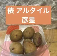 ☀️サンシャイン☀️様 リクエスト 2点 まとめ商品