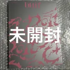 StrayKids スキズ　Do it ITver.