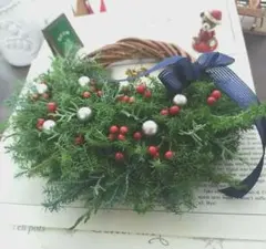 コニファー ＆ ブルーアイス ＆ 野ばらの実♥ クリスマスリース✨️冬リース②