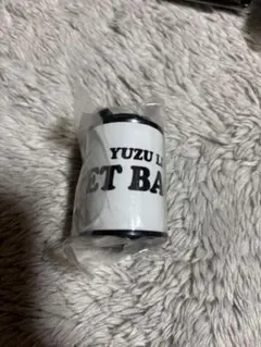 ゆず　コインシリンダー GETBACKトビラ