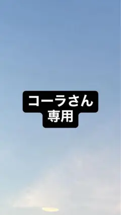 iPhone 12 Pro 128GB SIMフリー 動作良好