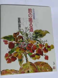 Item thumbnail for item a9d8960b-e479-4fe3-9e62-37104957d212