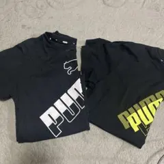 PUMA ブラック Tシャツ 140cm 2枚セット