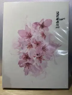 滝沢歌舞伎ZERO final 写真集