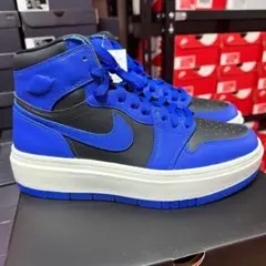NIKE エアジョーダン1 エレベート　DN3253-204 28.0