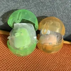 たまごっちカプセルフロッキーズ　めめっち　くちぱっち