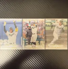 阪神タイガース クリーンナップTopps STADIUM CLUB2025NPB