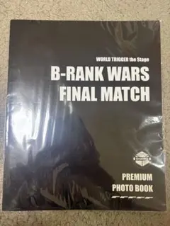 Item thumbnail for item 7fe6d2c9-603e-4aba-9d35-347d8cc0ccea