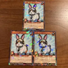 レスキューラビット 3枚セット
