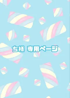 ち様専用ページ