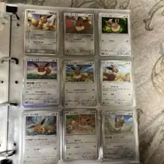 t*m様 ブイズまとめ売り