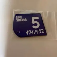 2026年最新】イクイノックス 有馬記念 ミニゼッケンの人気アイテム