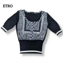 SALE✨️ETRO エトロ 半袖カットソー シルク 40サイズのサムネイル