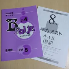 【最新版・新品・未使用】アドバンス・育伸社テストセット 2025年最新】育伸社 学力テスト 小5 bの人気アイテム - メルカリ