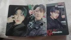 stray kids チャンビントレカ