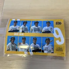 2026年最新】柳田 ワッペンの人気アイテム - メルカリ