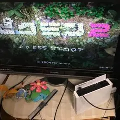 ピクミン2 ゲームキューブ　起動確認済み