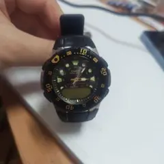 CASIO