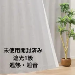 遮光1級・遮熱・遮音カーテン(RD100 ライトグレー 100X135X2)