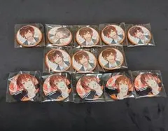 フェスキメ しゃけみー 缶バッジ 13個