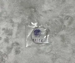 SnowMan 佐久間大介 映画マッチング DVD 特典 アクリルキーリング