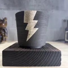 2026年最新】パキプス 鉢の人気アイテム - メルカリ