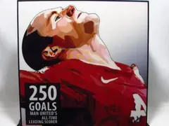 【新品 No 589】 ポップアートパネル ウェイン ルーニー 250ゴール