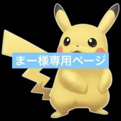 まー様リクエストまとめ買い商品