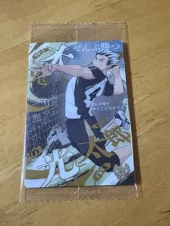 ハイキュー ウエハース6 木兎光太郎 SR