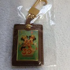 東京ディズニーリゾート 30周年ディズニーホテルキーホルダー