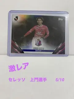 Item thumbnail for item 68096564-2883-4fb6-b80f-be197d8cc6ee