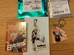 ハイキュー　日向翔陽 アクリルキーホルダー