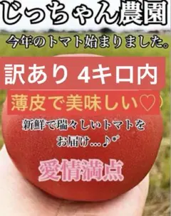 トマト とまと 新鮮野菜 農家直送 ハウス栽培 訳あり 規格外 お買い得 限定