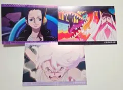 麦わらストア　ポストカード