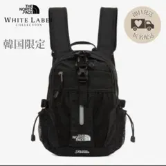韓国限定✨ノースフェイス　RECON MINI リュック