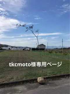 tkcmoto様 リクエスト 2点 まとめ商品