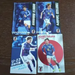 カルビー日本代表チップスカード