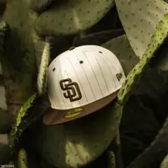 NEW ERA 59FIFTY キャップ 7 1/2